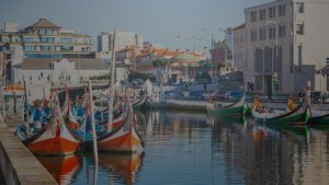 clinica de fisioterapia com acordo, aveiro, bico de papagaio, protusão discal, hérnia discal, ciatalgia, fisioterapeuta em aveiro, tratamento da dor, dor nas costas, fisioterapia em aveiro, fisioterapeuta aveiro